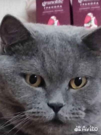 Переноска-рюкзак для животных