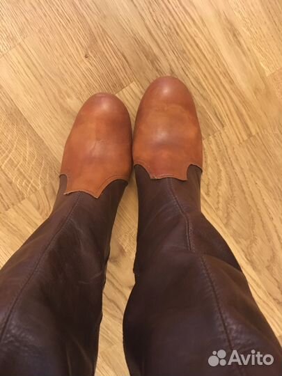 Сапоги MissSixty