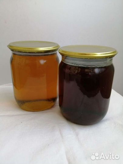 Варенье из одуванчиков (одуванчиковый мед)