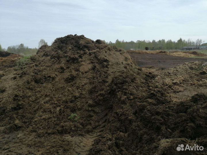 Навоз и перегной конский, коровий с доставкой