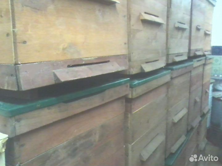 12 рамочный дадан, альпийские ульи