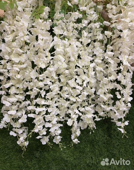 Глициния искусственная белая б/у