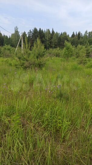 Участок 12 сот. (ИЖС)