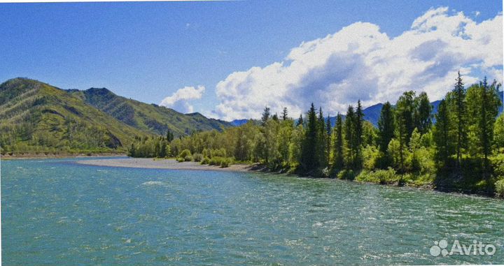 Летом на Алтай тур путевка экспедиция 4-7 дней