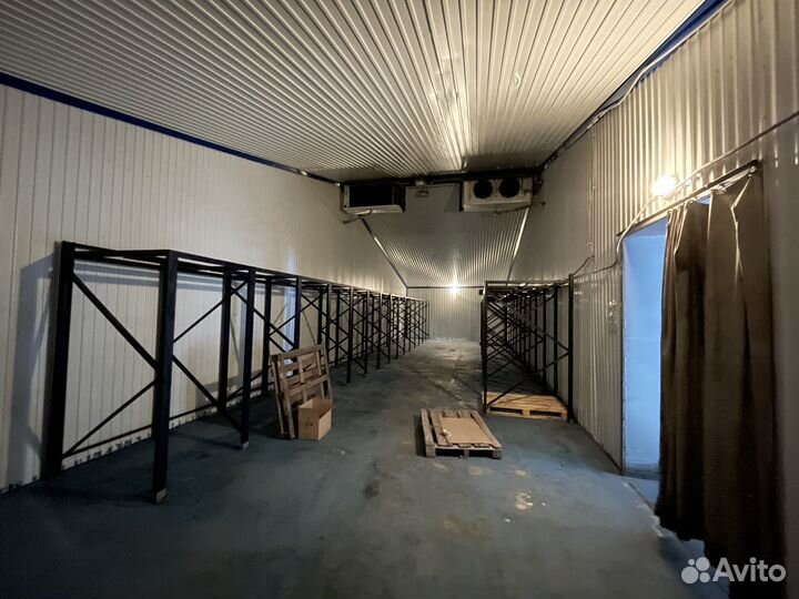 Аренда рефконтейнер/вагоны