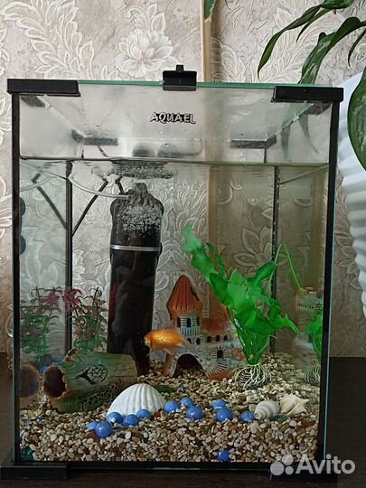 Аквариум с рыбками