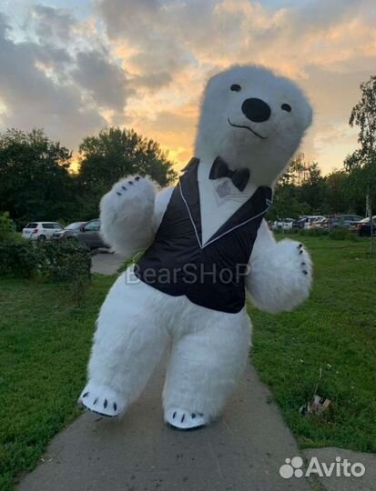 Аэро костюм Ростовая кукла