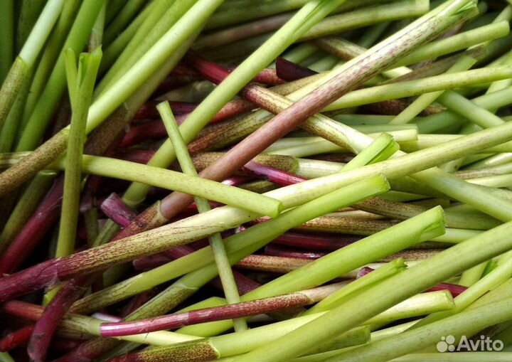 Черемша, грибы заморожен. и маринованная