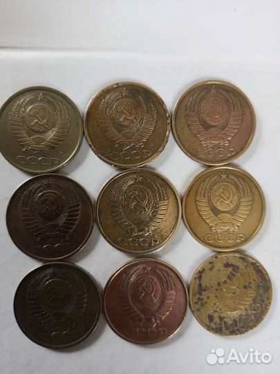 Пяточки монетки