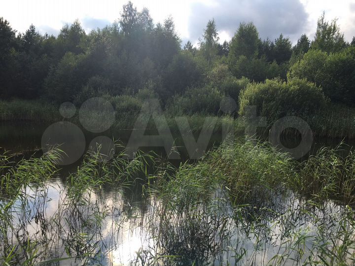 Участок 25 сот. (ИЖС)