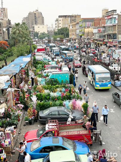 Свой человек в Египте, Турции