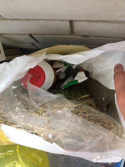 Шар,ванна,гамак,корм для грызунов