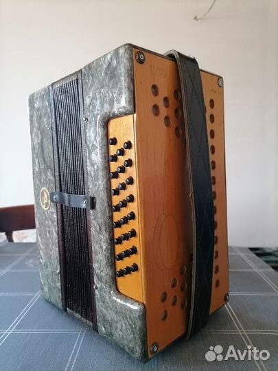 Гармонь кубань