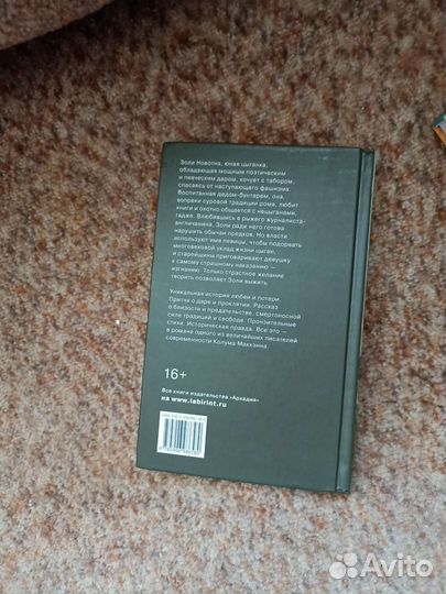 Книга «Золи»