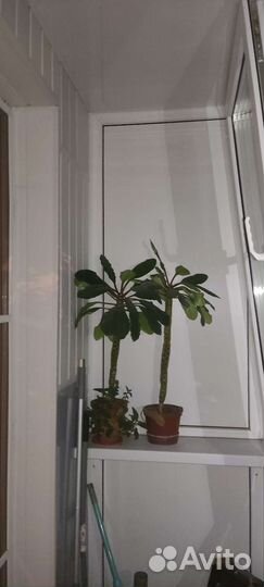 Балкон пвх бу