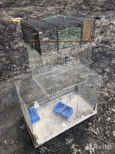 Клетка-садок