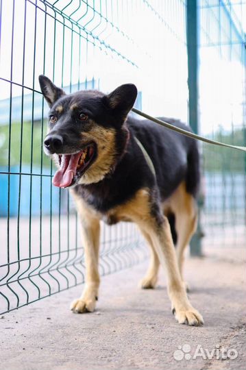 Я тоже хочу жить дома