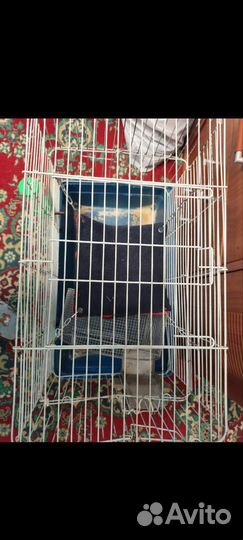 Клетка для грызунов