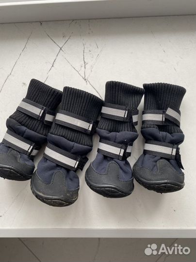 Обувь для маленьких собак