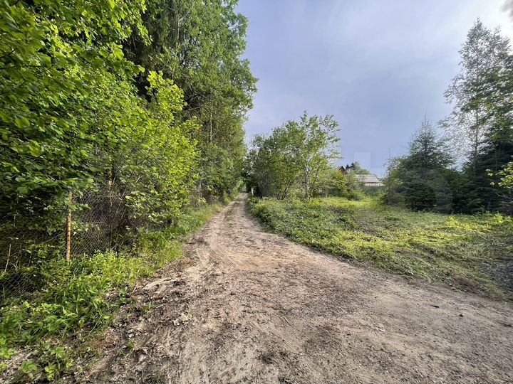 Участок 6,5 сот. (СНТ, ДНП)