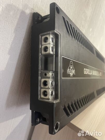 Gorilla Bass by Kicx 10000