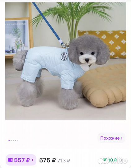 Осенний комбинезон для собаки