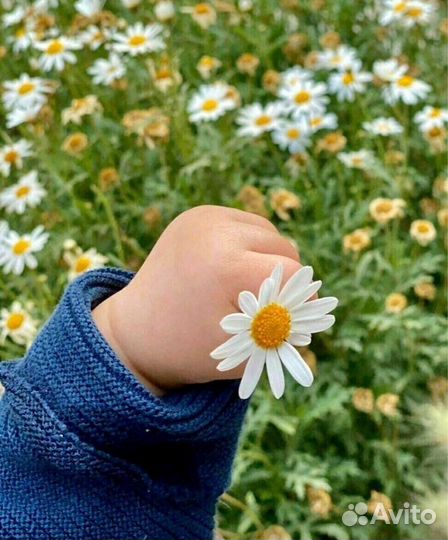 Предлагаю услуги няни