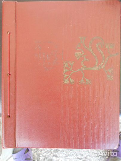 Фотоальбомы времен СССР