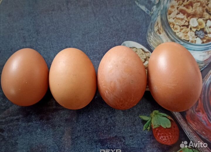 Яйцо куриное от молодых курочек
