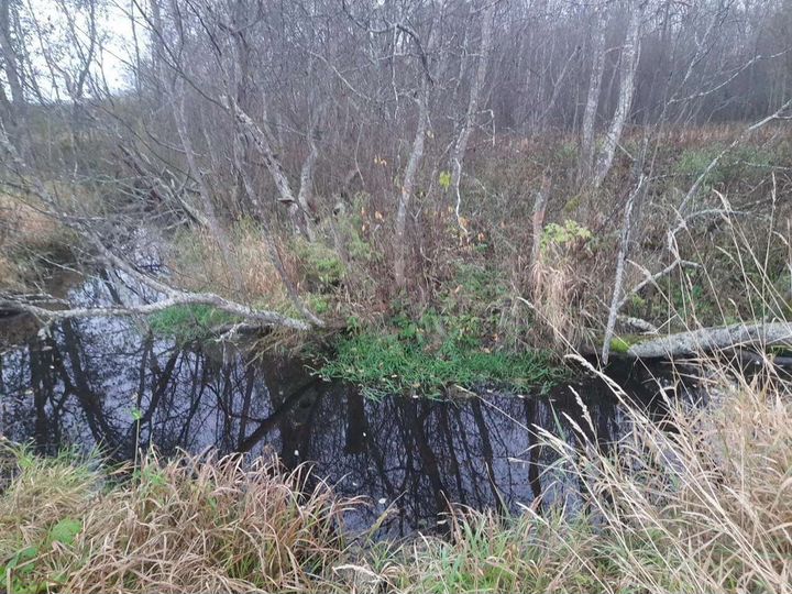 Участок 40 сот. (ИЖС)