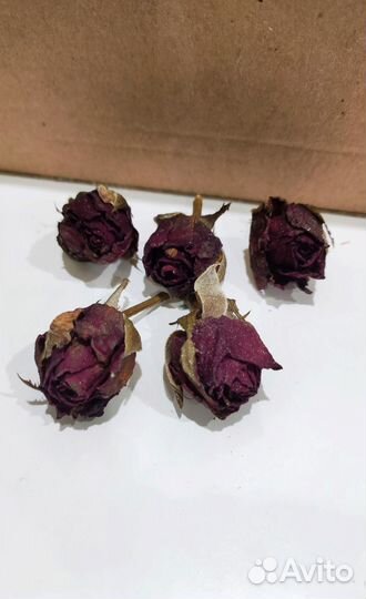 Розы - сухоцвет для творчества