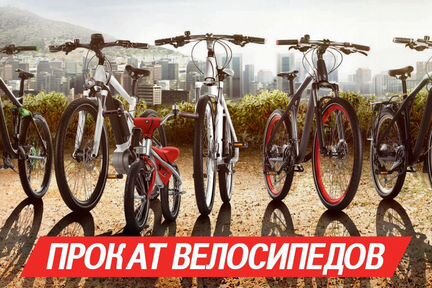 Прокат велосипедов в Смоленске