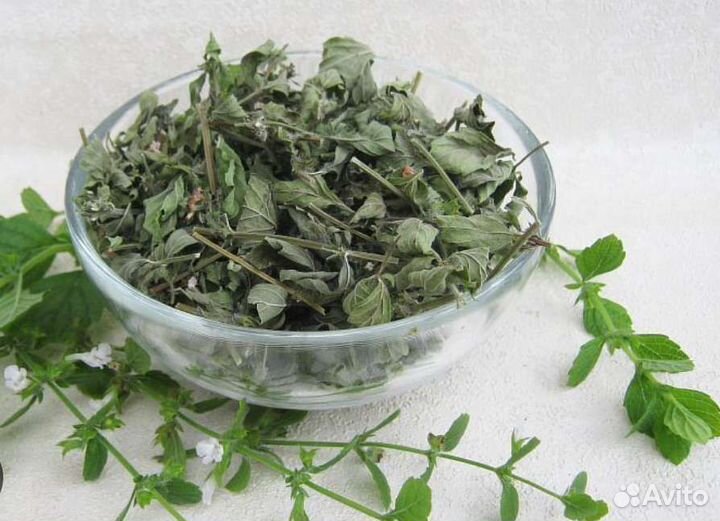 Мелисса сушеная