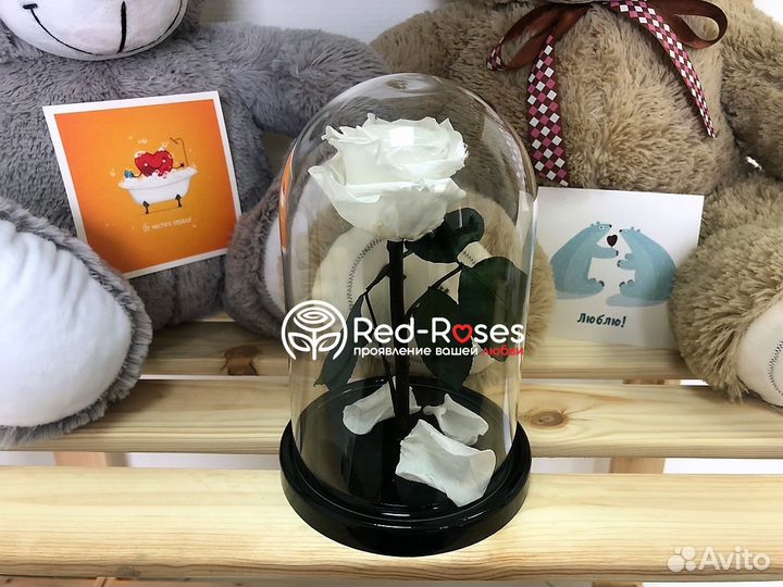 Роза в колбе 23 см