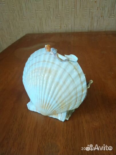 Сувениры,цветок из бисера