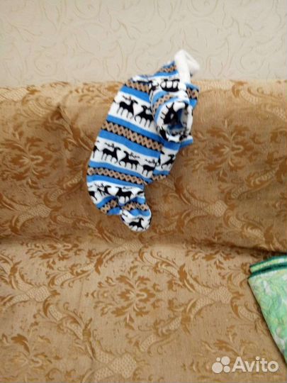 Одежда для маленьких собак