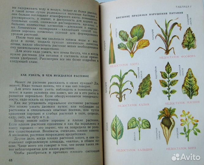 Церлинг В. Растения рассказывают. (Знай и умей)