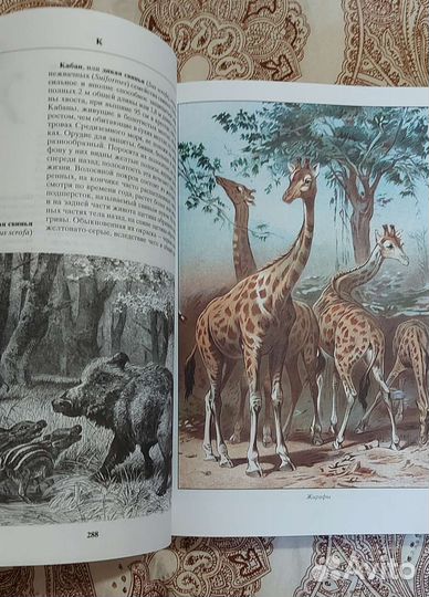 Брем. Жизнь животных