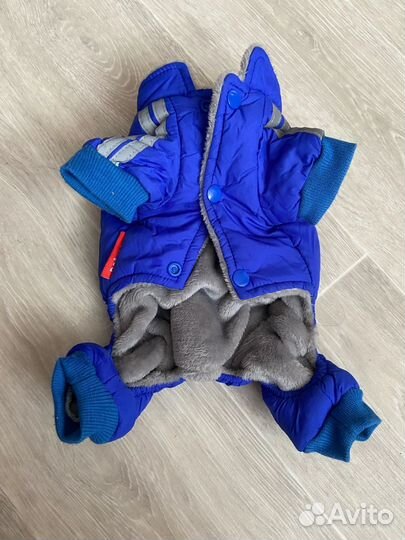 Для собак мелких пород, размер s