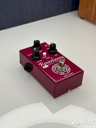 Amt Ry-1 Reverb Russia Продажа/Обмен