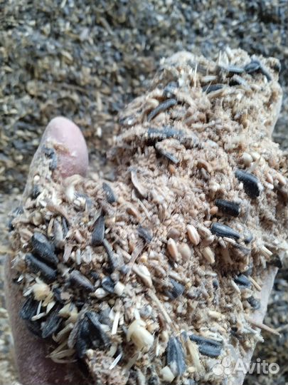 Зерноотходы