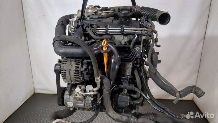 Двигатель Volkswagen Jetta 5 BXE 1.9 Дизель, 2007