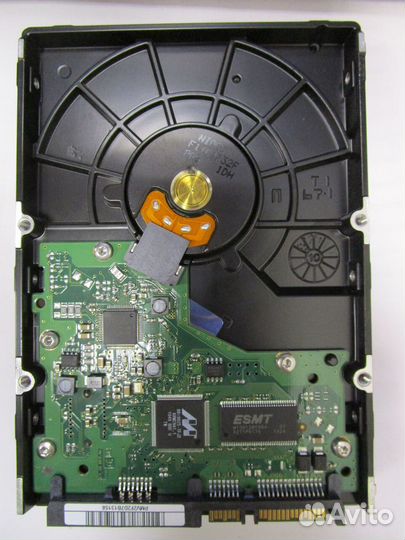 Жесткий диск 500Gb Samsung HD503HI