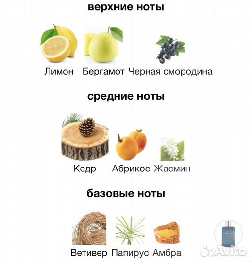 Atelier cologne cedre atlas