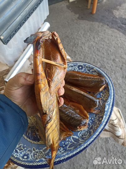 Горбуша, скумбрия-горячего копчения