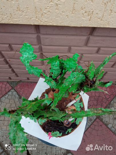 Поделки в детский сад и школу