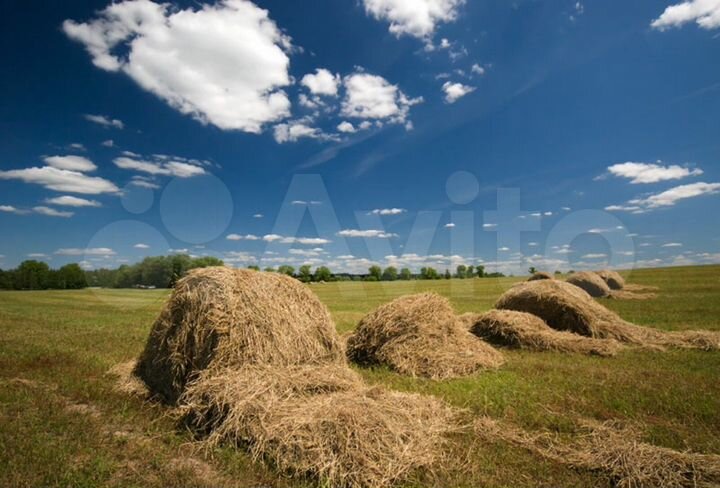 Участок 5,6 сот. (СНТ, ДНП)