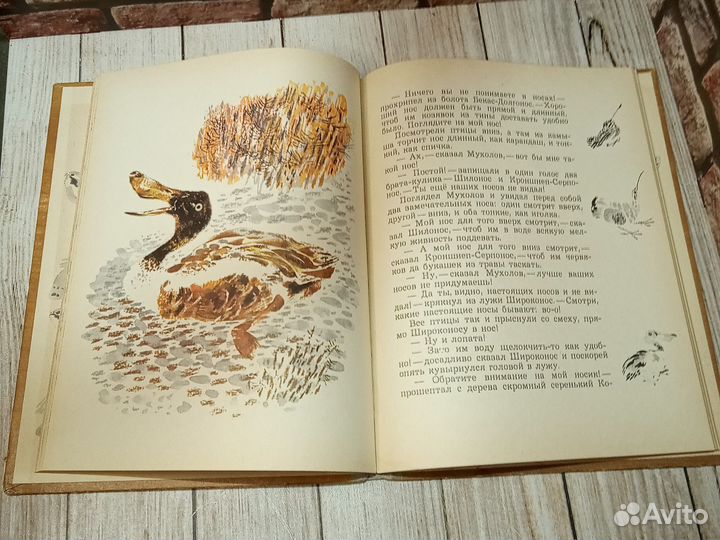 Про птиц и зверей