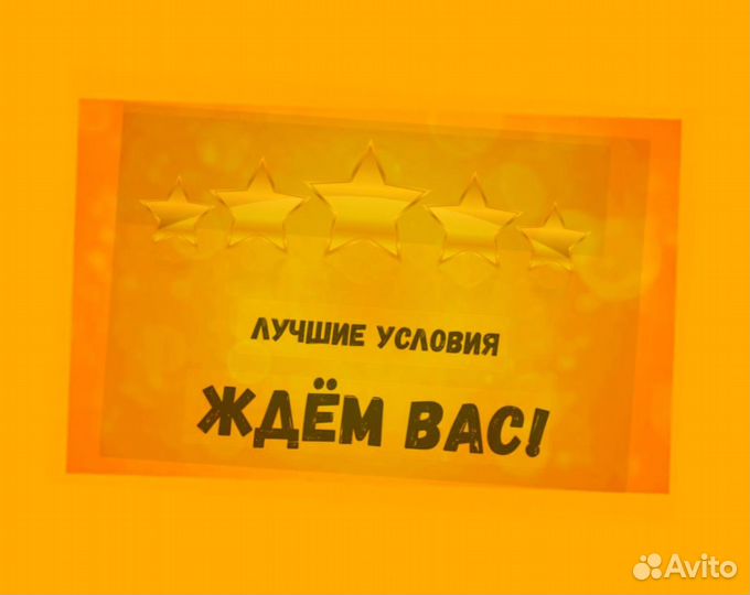 Сортировщик Еженедельный аванс Спецодежда М/Ж