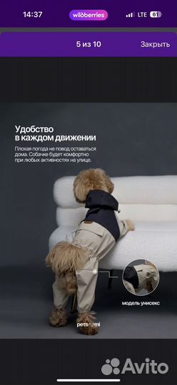 Комбинезон доя собаки